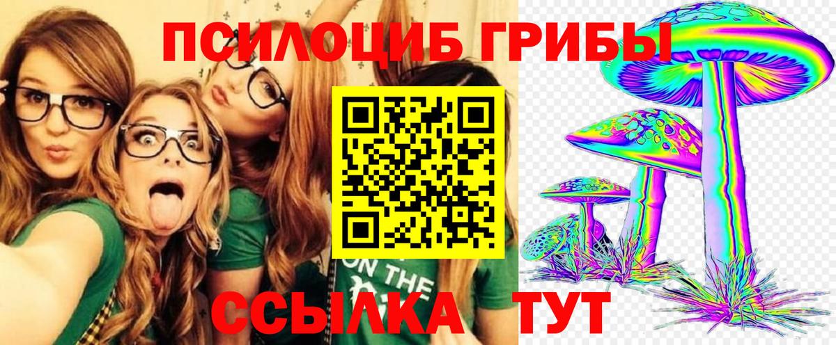 купить   Галлюциногенные грибы MAGIC MUSHROOMS  Вход с VPN  Озёры 